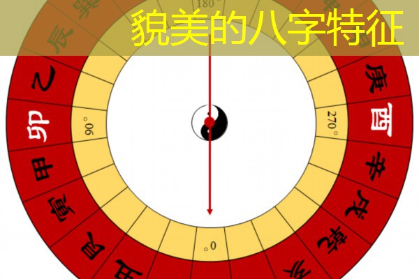  貌美的八字特征