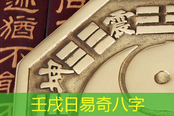 壬戌日易奇八字