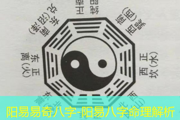  阳易易奇八字-阳易八字命理解析