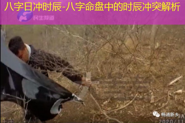  八字日冲时辰-八字命盘中的时辰冲突解析
