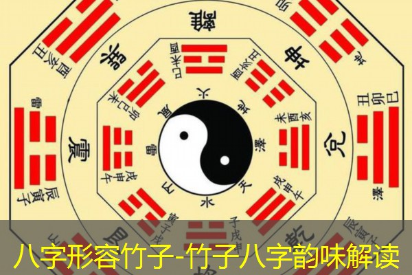  八字形容竹子-竹子八字韵味解读