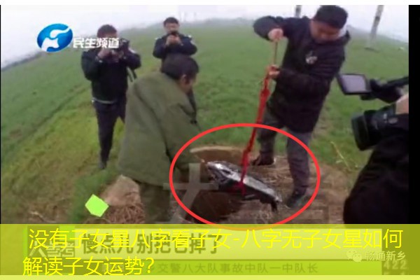  没有子女星八字看子女-八字无子女星如何解读子女运势？