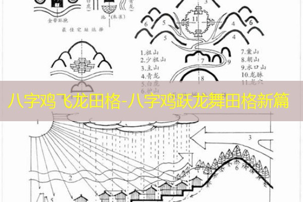  八字鸡飞龙田格-八字鸡跃龙舞田格新篇
