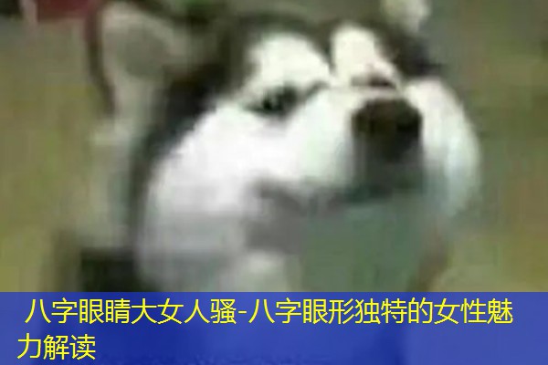  八字眼睛大女人骚-八字眼形独特的女性魅力解读