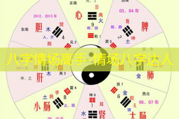  八字情场高手-情场八字达人