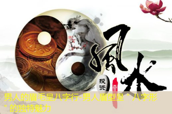  男人的眉毛呈八字行-男人眉型呈＂八字形＂的独特魅力