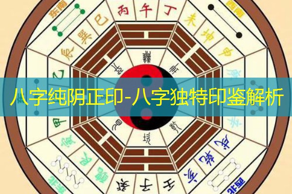 八字纯阴正印-八字独特印鉴解析