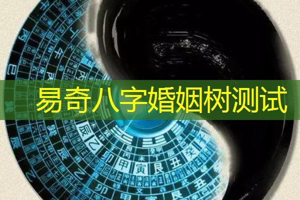  易奇八字婚姻树测试