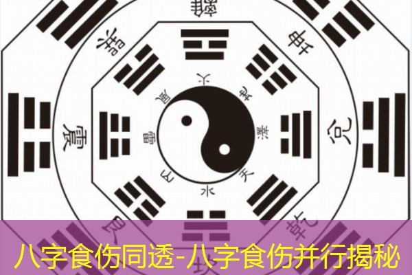  八字食伤同透-八字食伤并行揭秘