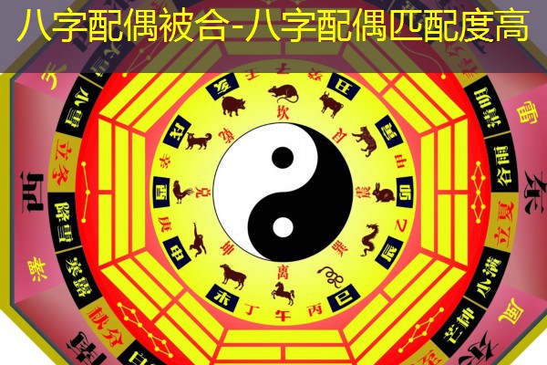  八字配偶被合-八字配偶匹配度高