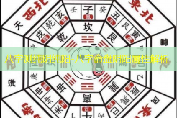  八字测纯阴纯阳-八字命盘阴阳属性解析