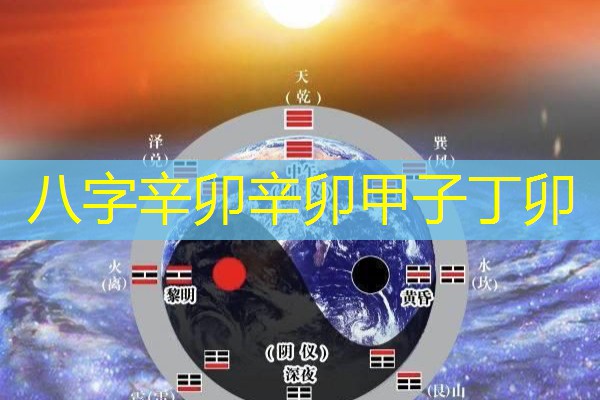  八字辛卯辛卯甲子丁卯