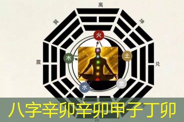  八字辛卯辛卯甲子丁卯