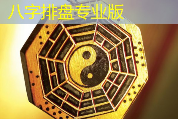  八字排盘专业版