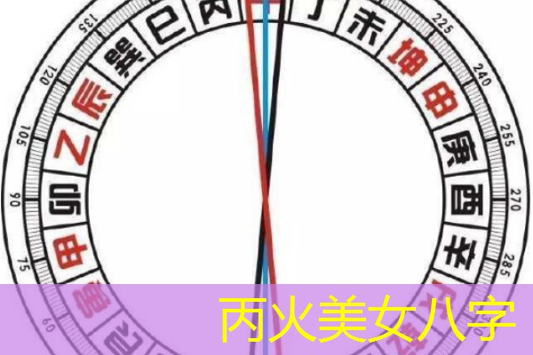  丙火美女八字