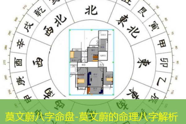  莫文蔚八字命盘-莫文蔚的命理八字解析