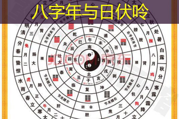  八字年与日伏呤