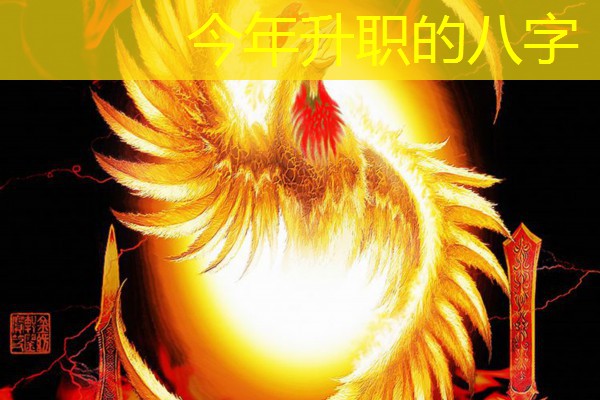  今年升职的八字