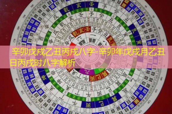  辛卯戊戌乙丑丙戌八字-辛卯年戊戌月乙丑日丙戌时八字解析