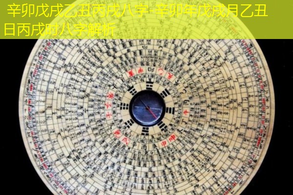  辛卯戊戌乙丑丙戌八字-辛卯年戊戌月乙丑日丙戌时八字解析
