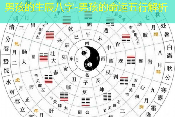  男孩的生辰八字-男孩的命运五行解析