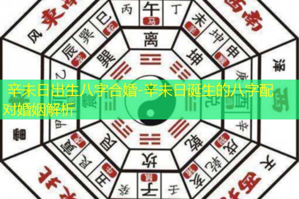  辛未日出生八字合婚-辛未日诞生的八字配对婚姻解析