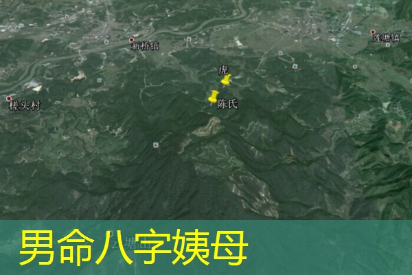  男命八字姨母