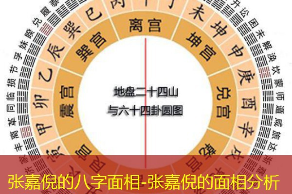  张嘉倪的八字面相-张嘉倪的面相分析