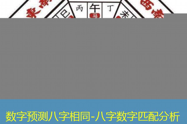  数字预测八字相同-八字数字匹配分析