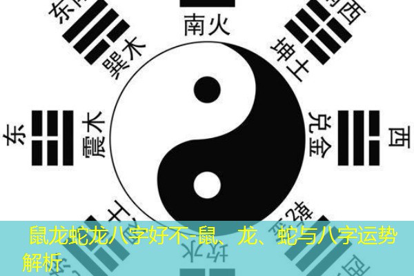  鼠龙蛇龙八字好不-鼠、龙、蛇与八字运势解析