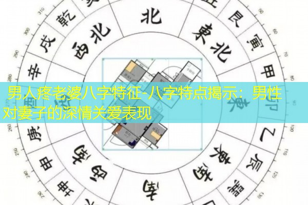  男人疼老婆八字特征-八字特点揭示：男性对妻子的深情关爱表现