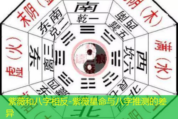  紫薇和八字相反-紫薇星命与八字推测的差异