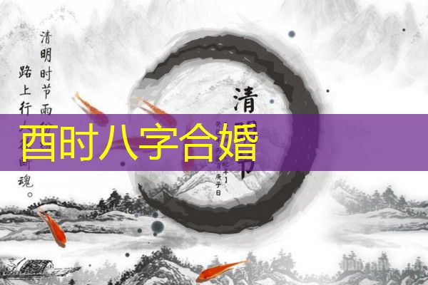  酉时八字合婚