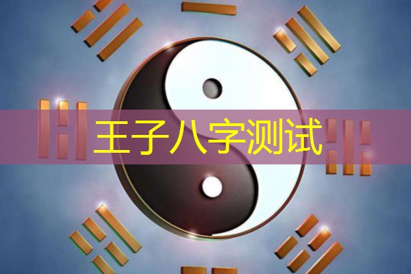  王子八字测试