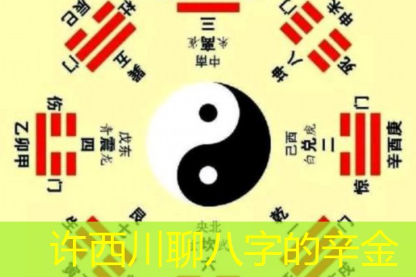  许西川聊八字的辛金