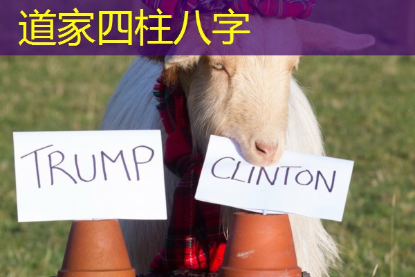  道家四柱八字