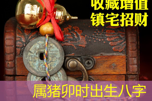 属猪卯时出生八字