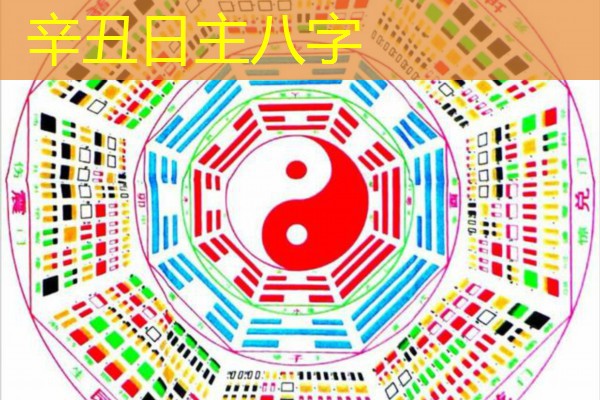  辛丑日主八字