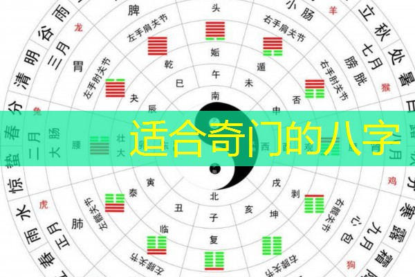  适合奇门的八字