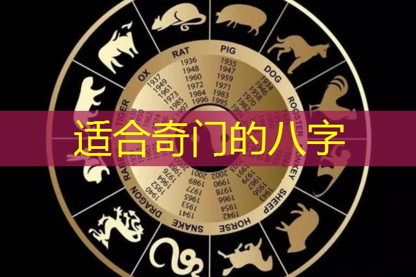  适合奇门的八字