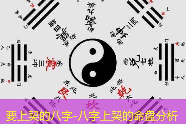  要上契的八字-八字上契的命盘分析