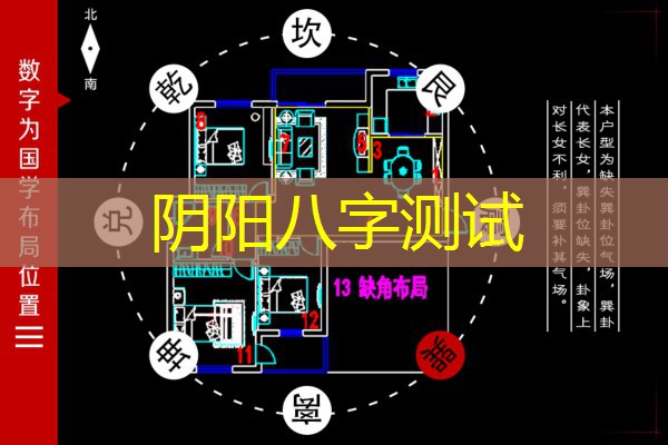  阴阳八字测试
