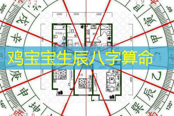  鸡宝宝生辰八字算命