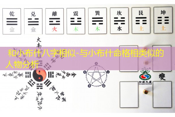  和小布什八字相似-与小布什命格相类似的人物分析