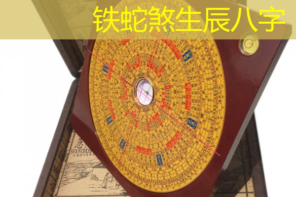  铁蛇煞生辰八字