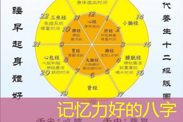  记忆力好的八字