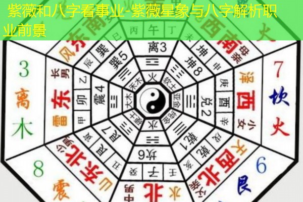  紫薇和八字看事业-紫薇星象与八字解析职业前景