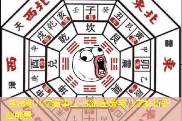  紫薇和八字看事业-紫薇星象与八字解析职业前景