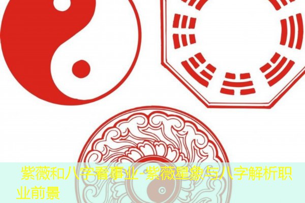  紫薇和八字看事业-紫薇星象与八字解析职业前景