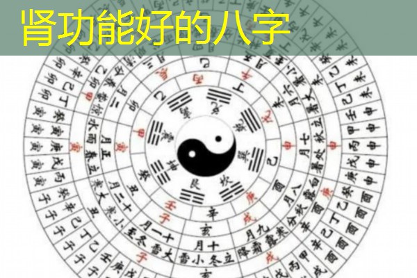  肾功能好的八字